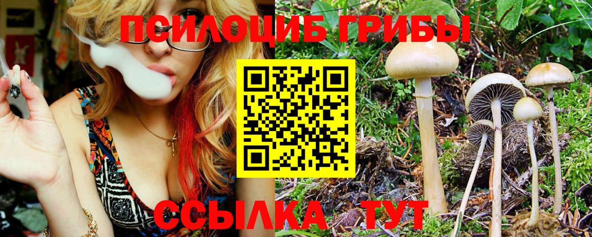 Галлюциногенные грибы ЛСД  Вход с VPN  Псилоцибиновые грибы Magic Shrooms  Кстово 