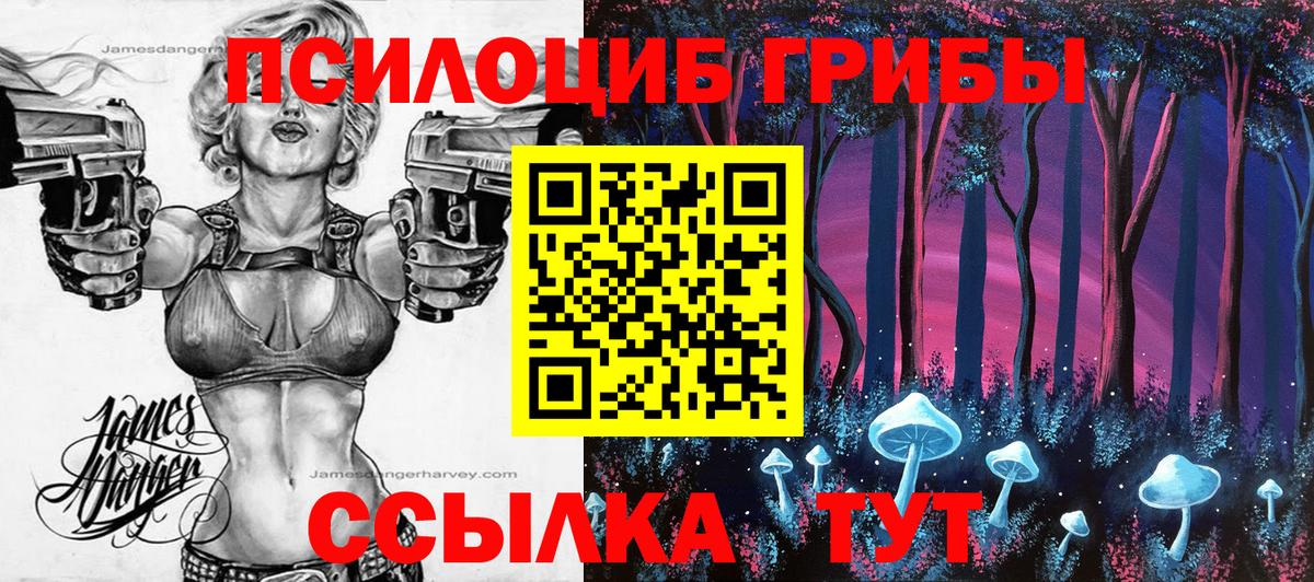 Галлюциногенные грибы GOLDEN TEACHER Кстово